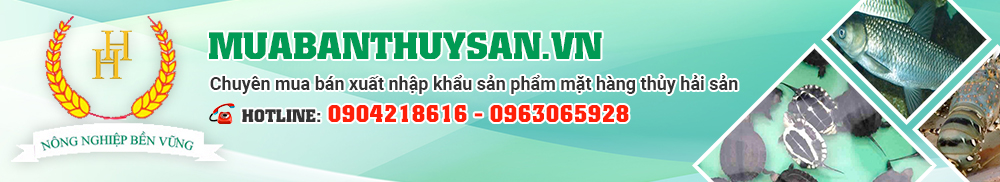 http://muabanthuysan.com.vn